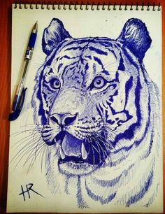 a pencil drawing of a tiger on paper