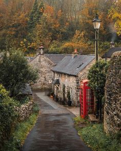 a red phone booth sitting on the side of a road next to a lush green forest