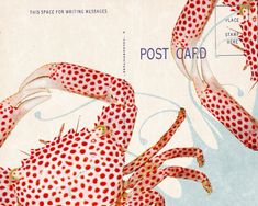 a red and white crab with spots on it's body is shown in this postcard