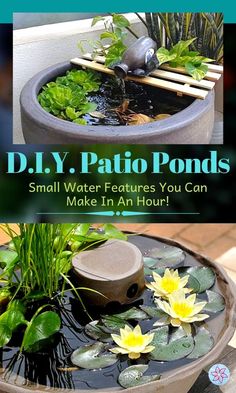 a small pond with water plants and rocks in it that says d i y patio ponds