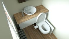 a white toilet sitting next to a sink on top of a wooden counter under a mirror