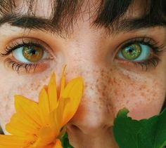 Two Different Colored Eyes Aesthetic, Two Different Eye Colors, Color Contacts, Eyes Beautiful, Landscape Photography Tips, Quotes About Photography