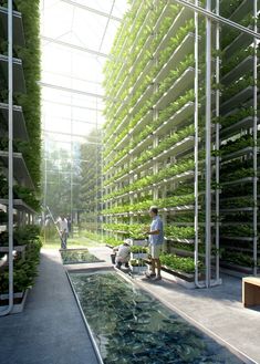 an indoor garden with plants growing on the walls and people working in the area next to it