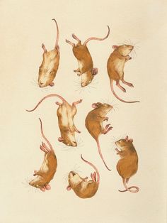 six brown mice are depicted in this drawing