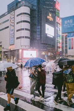 people crossing the street in the rain with umbrellas