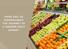 Agriculture tech is reshaping farming practices. Learn more. https://jonathandaxcooke.us/from-soil-to-supermarket-the-journey-of-a-modern-fruit-market/ #SmartAgriculture #TechInFarming #DaxCooke Fruit Market, The Journey, Soil, Fruit, Marketing