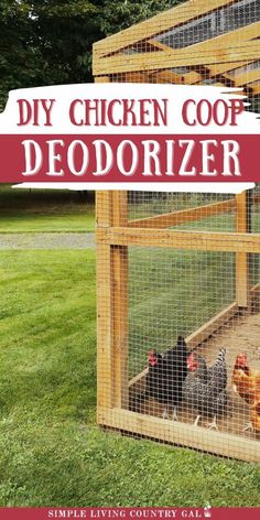 a chicken coop with chickens in it and the words diy chicken coop deodorizer