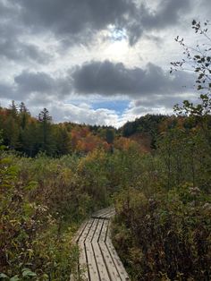 a wooden path in the middle of a forest with trees and clouds above it on a cloudy day