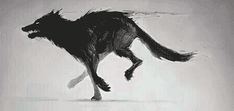 a black and white photo of a dog running