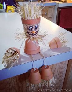 a potted plant sitting on top of a counter next to other pots and pans