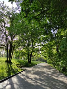 an empty road surrounded by trees and grass