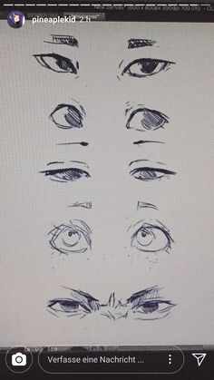 a computer screen showing different types of eyes