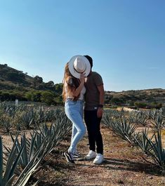 a man and woman standing next to each other in an area with many pineapples