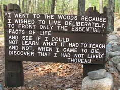 a sign that is in the woods with some writing on it's back side