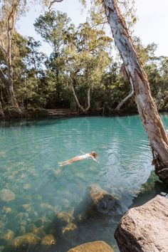 a person swimming in the water next to some rocks and tree branches with clear blue water