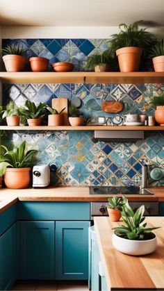 a kitchen with blue cabinets and plants on the shelves above the stove top, along with wooden counter tops