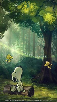 Eileen Clark Peanuts Charlie Brown Snoopy, Zestaw Ikon, Charlie Brown Snoopy, Snoopy Funny, Snoopy Images, Peanuts Cartoon, Snoopy Wallpaper, Snoopy Quotes