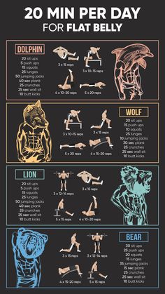 Animal Workout, Calisthenics Workout Plan, Workout Plan For Men, Trening Sztuk Walki, Gym Workout Planner, Muscle Abdominal, Full Body Workout Routine, Gym Workout Chart, Workout Routine For Men