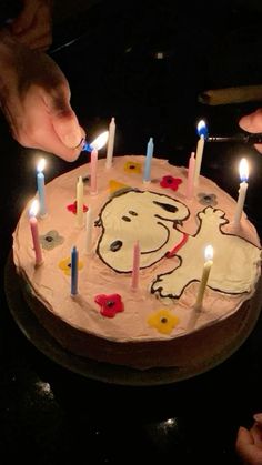 someone lighting candles on a birthday cake with a dog design