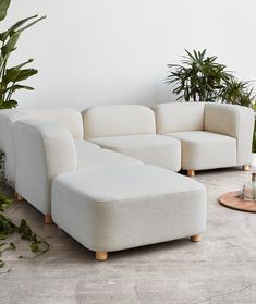 a white couch sitting on top of a floor next to potted plants