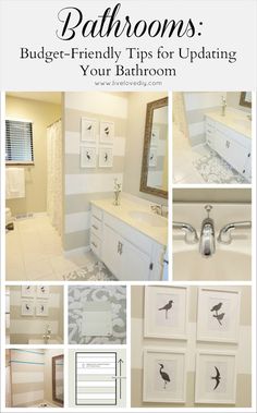 a collage of photos with birds on the wall and in the bathtub area