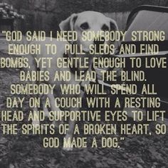 "The amazing attributes that ALL dogs fulfill..." A Dogs Purpose, Jack Russell Terriers, Jack Russells, Dog Rules, Animal Quotes, Dog Quotes, I Love Dogs, Dog Life, The Words