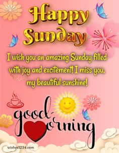 a happy sunday message with flowers and sun in the sky on a pink background that says, i wish you an amazing sunday filled with joy and excitement