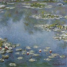 water lilies are floating on the surface of a pond