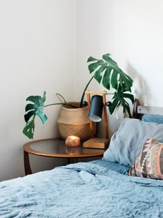 a bed with blue sheets and pillows next to a potted plant on a table