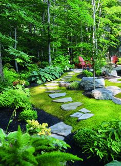 a lush green garden with stepping stones and plants in the foreground, surrounded by trees