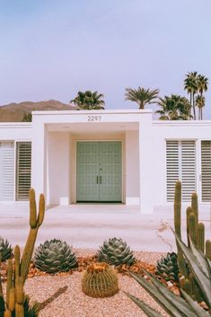 a cactus garden in front of a white building with shutters and a green door