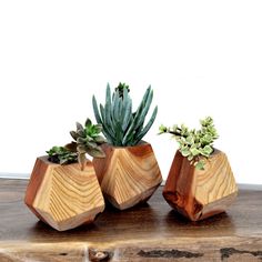 three wooden planters with succulent plants in them