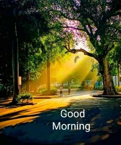 the words good morning are shown in front of a tree lined street with people walking down it