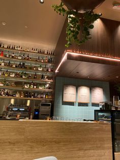 a bar with bottles on the shelves and plants hanging from it's ceiling above