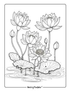 flowers and leaves in the water coloring page