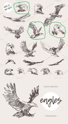 an image of birds flying in the air with different shapes and sizes on them, including one