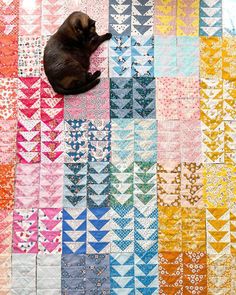 a black cat laying on top of a colorful quilt