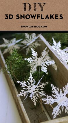 some snowflakes are in a wooden box with the words diy 3d snowflakes