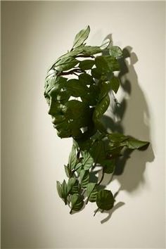 a green plant is hanging on the wall in front of a white wall with shadows