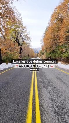 the road is lined with yellow lines and trees on both sides, in front of a mountain