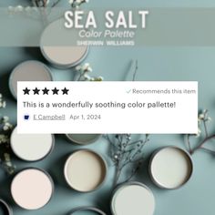 a screen shot of the sea salt color palette on instagram, with five stars above it