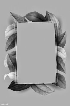 an empty square frame surrounded by leaves on a gray background with a white rectangle in the middle