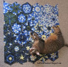 a cat laying on top of a blue and yellow star shaped piece of art quilt