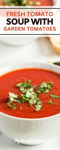 fresh tomato soup with garden tomatoes in a white bowl