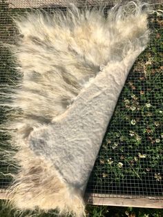 a white furry animal laying on top of a green grass covered ground next to a wire fence