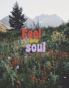 a field full of flowers and trees with the words feel your soul written on it