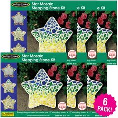 four star mosaic stepping stone kits with instructions to make them look like they are made out of