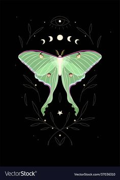 a green butterfly with crescents and stars on it's wings in the night sky