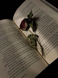 an open book with a rose laying on it's side next to the pages