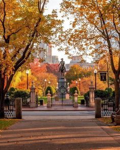 a statue in the middle of a park surrounded by trees with yellow leaves on it